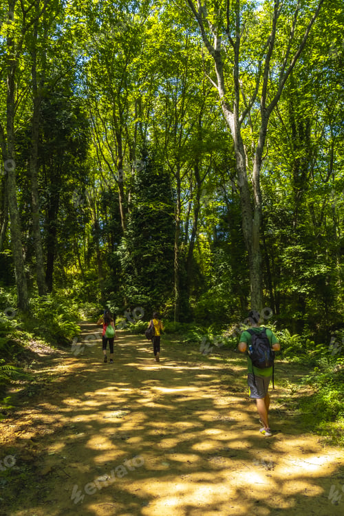 Preview: Beautiful shot of a couple on a trekking trip