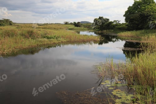Preview: Abuket River, Uganda, Africa