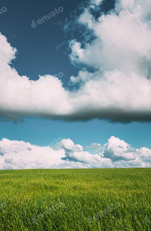 Preview: Countryside Rural Green Field Landscape With Young Wheat Sprouts In Spring Summer Cloudy Day