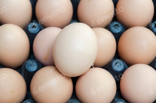 Preview: organic eggs
