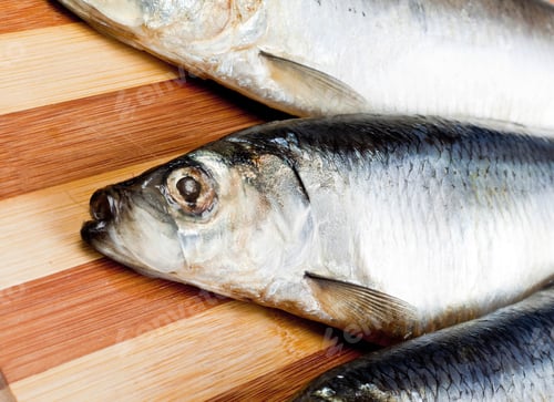 Preview: close up of Fish
