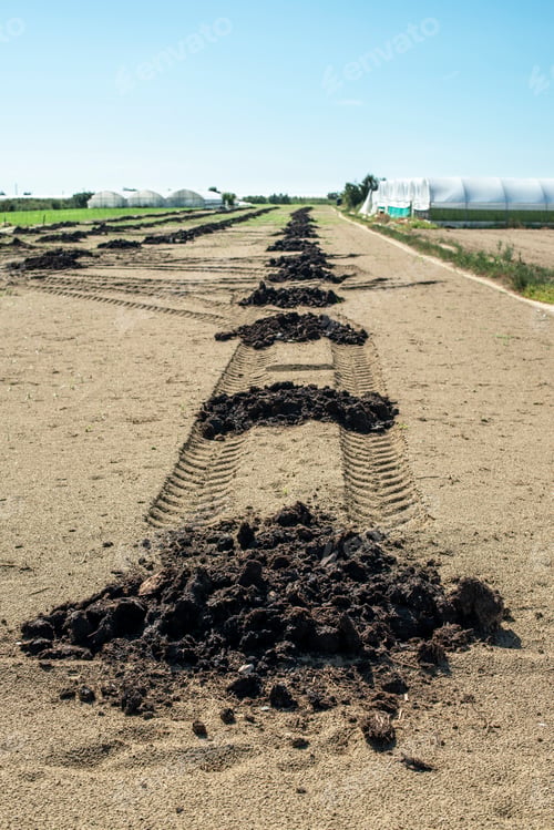 Preview: Natural fertilizer in agricultural land. Soil fertilization conc