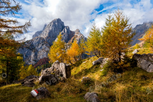 Preview: Colorful autumn scene on mountain. Sky with clouds,colorful trees and mountain peak.