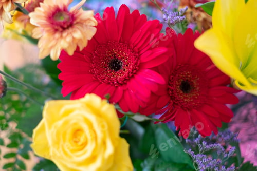 Preview: Celebration Valentine's Day Women's Day birthday holiday party. photo of bouquet of fresh flowers