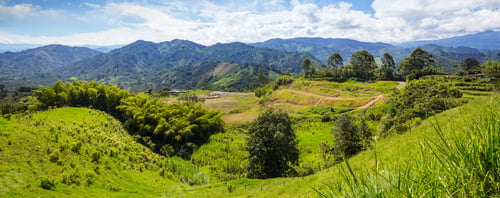 Preview: Green hills in Colombia