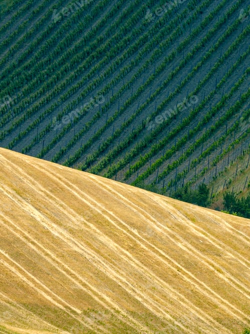 Preview: Rural landscape on the hills near Riolo Terme and Brisighella