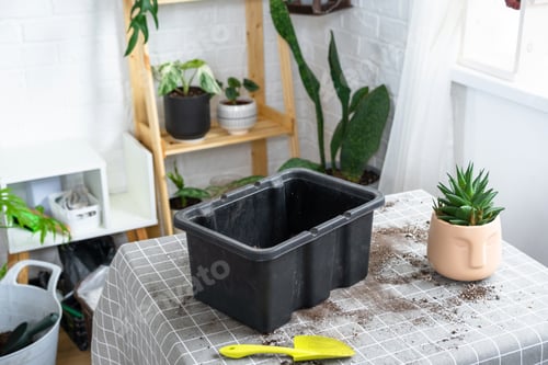 Preview: Ingredients for the soil of home potted plants, peat, earth, sand, perlite, vermiculite, coconut. A