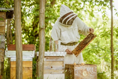 Preview: Beekeeper