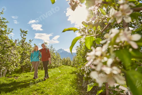 Preview: Mature couple hiking through field, Meran, South Tyrol, Italy