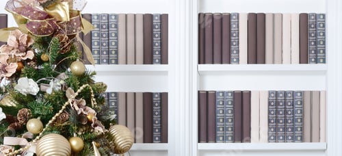 Preview: A beautiful decorated Christmas tree on the background of a bookshelf with many books of different