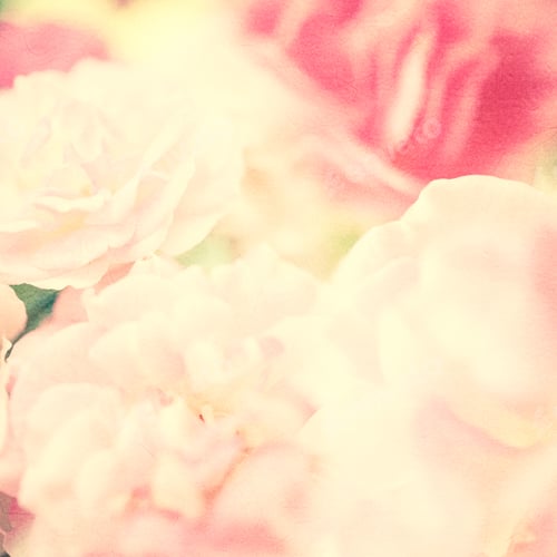 Preview: Sweet Pink Roses In Soft Color On Mulberry Paper Texture For Romantic Background