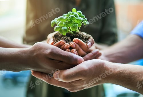 Preview: Invested in growth