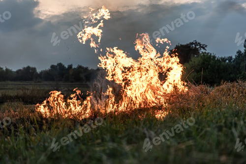Preview: A fire burns in a field with dry grass.