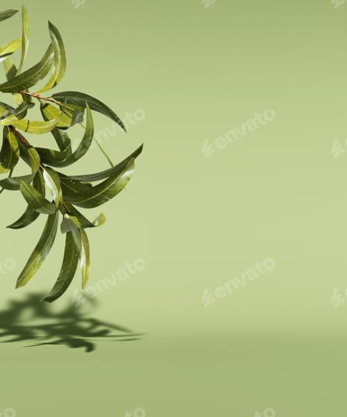 Preview: Empty showcase podium for natural cosmetic presentation. Green leaves on monotone background. 3d