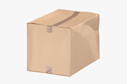 Preview: Sealed Corrugated Box, Light Damage
