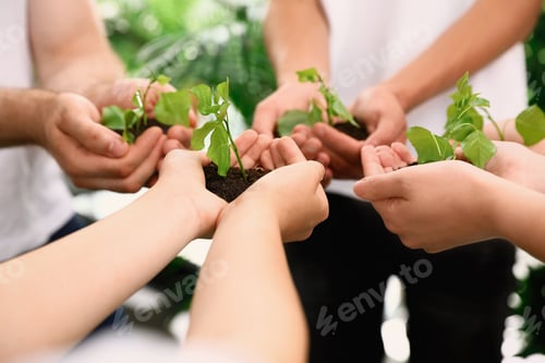 Preview: Group of volunteers holding soil with sprouts in hands outdoors, closeup