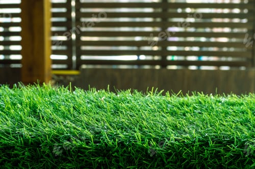 Preview: Green grass. natural background texture. fresh spring