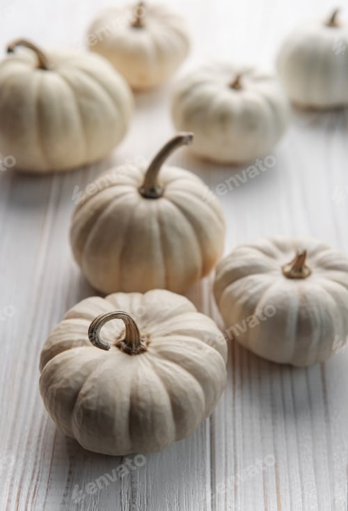 Preview: White decorative pumpkins