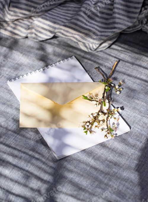 Preview: Empty card with shadow of a blooming tree