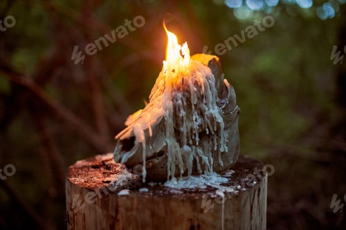 Preview: Animal skull with burning candles in a dark forest, surrounded by an eerie autumn atmosphere