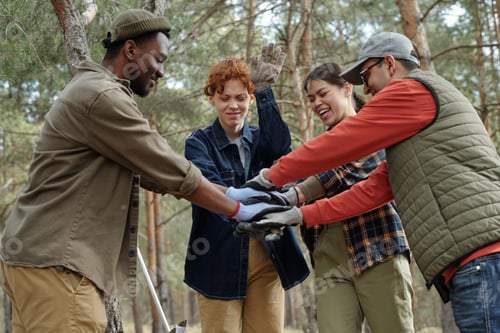 Preview: Diverse Young Adults Stacking Hands While Collaborating Outdoors in Forest