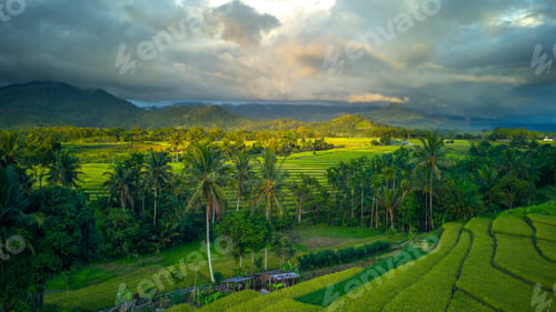 Preview: Beautiful morning view indonesia Panorama Landscape paddy fields with beauty color and sky natural