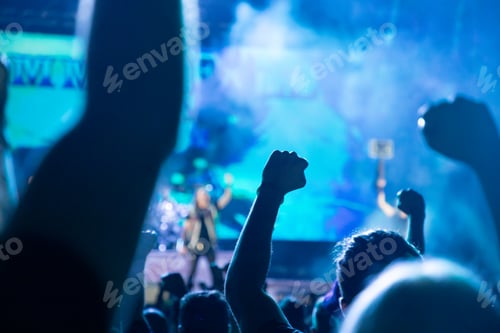 Preview: crowd at concert - summer music festival