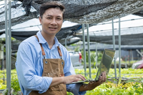 Preview: Young agriculturists are selecting vegetables to check their quality for sale in their small-scale