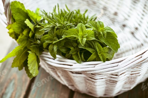 Preview: Herbs