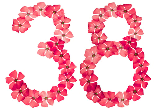 Preview: Numeral 38, thirty eight, from natural red flowers of periwinkle, isolated on white background