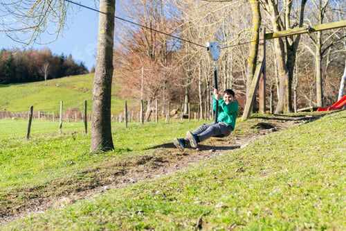 Preview: Happy boy enjoying zip line in playground park