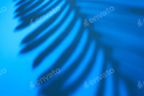 Preview: Beautiful fern leaves shadow colored background in artificial light