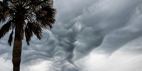 Preview: Minimalist landscape with palm tree and beautiful sky with unusual cloud patterns.