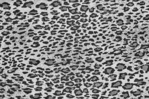 Preview: Monochrome Texture Of Fabric With A Pattern Of A Leopard For Abstract Backgrounds And For Wallpaper