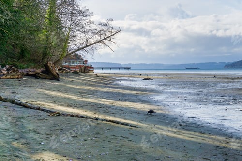 Preview: A View Of The Shoreline At Low Tide At Dash Point State Park In Washington State.