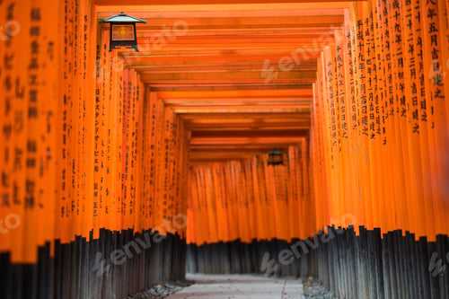 Preview: Long line of black and orange traditional Torii at a Japanese shrine.