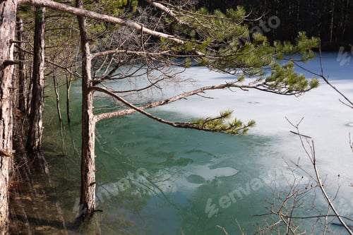 Preview: view of a mountain lake surrounded by bushes and trees in autumn