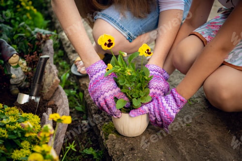 Preview: Two people - mother and daughter - are planting flower to the pot to decorate the garden