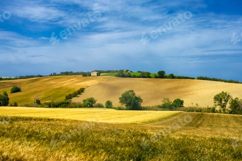 Preview: Rural landscape along the road from Fano to Mondavio, Marche