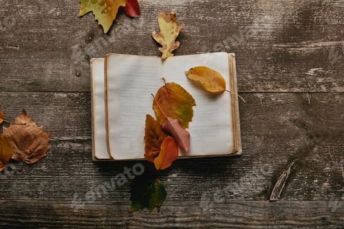 Preview: flat lay with fallen autumn leaves and blank notebook on wooden surface