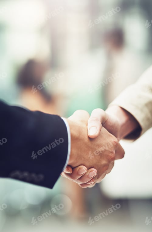 Preview: I believe in your skills, talents and knowledge. Shot of businesspeople shaking hands in an office.
