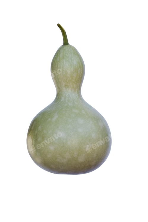 Preview: Bottle Gourd (Lagenaria Siceraria). Called White-Flowered Gourd, Calabash, Opo Squash And Long