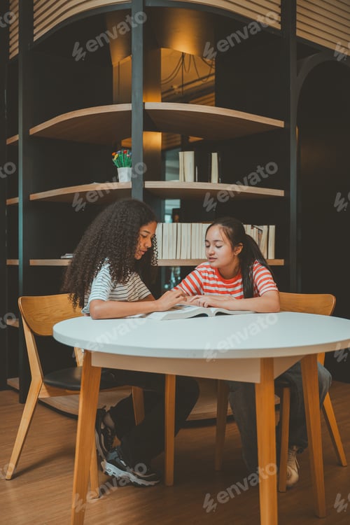 Preview: Teenage girls studying together in modern library showing concentration teamwork