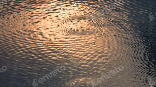 Preview: Rain drop on the surface of swiming pool.
