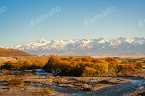 Preview: Golden autumn trees with river flowing and snowy Tien Shan mountain under clear blue sky