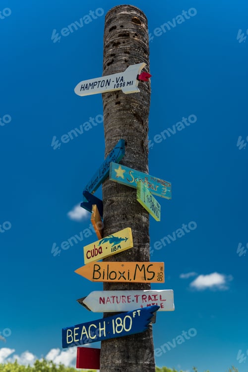 Visualização: Placas de viagem coloridas no tronco da árvore cortada mostram direções diferentes, verticais