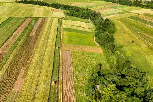 Preview: Aerial view of green agricultural fields in spring with fresh vegetation after seeding season on a
