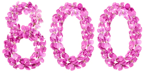 Preview: Arabic numeral 800, eight hundred, from flowers of viola, isolated on white background
