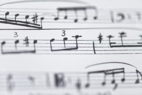 Visualização: Detalhe das notas