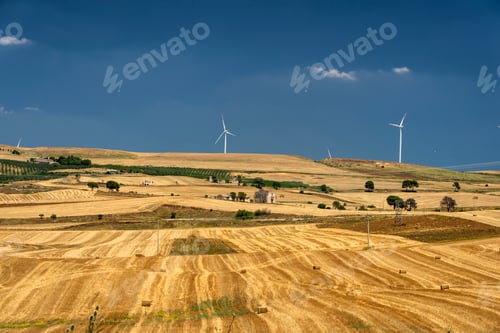 Preview: Rural landscape in Apulia at summer